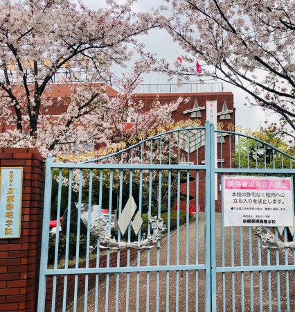 京都芸術高校2021年４月3日撮影